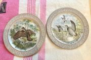 Vintage Bird plates