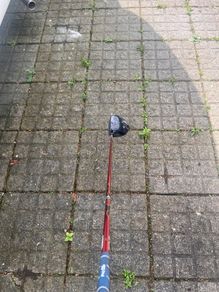 Golf Clubs (Driver, Wedge, Wood)