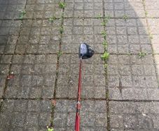 Golf Clubs (Driver, Wedge, Wood)