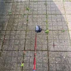 Golf Clubs (Driver, Wedge, Wood)