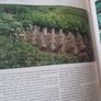 Organic Gardening/ Roy Lacey / 1988 Image 10