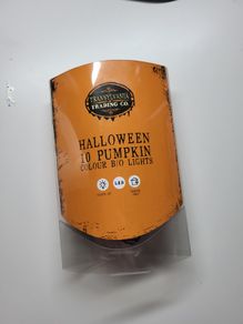 Little pumpkin lights NEW Halloween, autumn