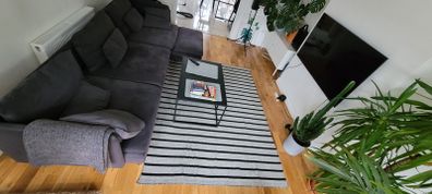 carpet