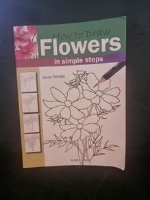 How to Draw Flowers in Simple Steps