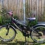 girl bike Image 5