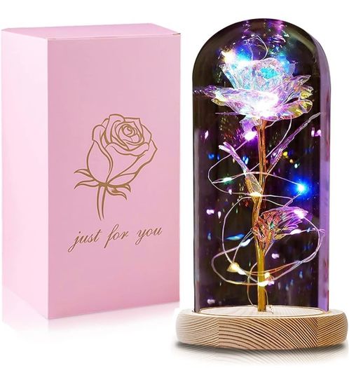 Gifts for Women Her, Beauty and the Beast Rose Forever Eternal Rose in Glass Dome, Preserved Artificial Rose Flowers with Led Light, Personalised Gifts for Christmas, Birthday, Mum, Grandma (FREE POSTAGE)