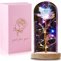 Gifts for Women Her, Beauty and the Beast Rose Forever Eternal Rose in Glass Dome, Preserved Artificial Rose Flowers with Led Light, Personalised Gifts for Christmas, Birthday, Mum, Grandma (FREE POSTAGE)