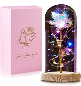 Gifts for Women Her, Beauty and the Beast Rose Forever Eternal Rose in Glass Dome, Preserved Artificial Rose Flowers with Led Light, Personalised Gifts for Christmas, Birthday, Mum, Grandma (FREE POSTAGE)