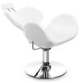 Professional Hydraulic Reclining Beauty / Salon Treatment Chair Image 3