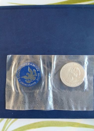 Usa Silver Dollar