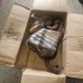 Alfa Romeo Brera 2x back boxes Image 3