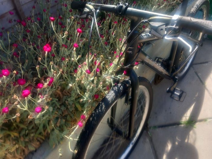 mountain bike