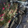 mountain bike Image 3