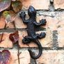 Cast iron geko wall hook. Image 6