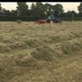 Small square bales of hay Image 5