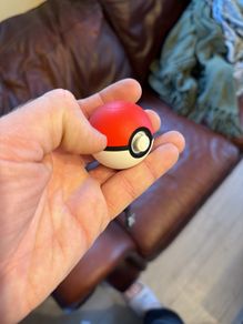 Pokeball switch controller