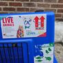 Dog- Cat travel crate Image 5