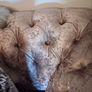 Chesterfield style sofa Image 3