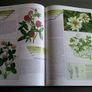 The Wildflowers of Offaly by John Feehan Ireland Irish Image 8