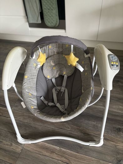 Newborn Swing