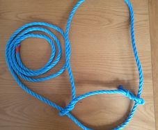 Cattle halters