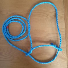 Cattle halters