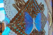 Vintage Brazilian Inlaid Iridescent Morpho Butterfly Wing Hardwood Tray
