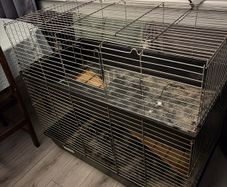 rabbit guinea pig 2 tier cage