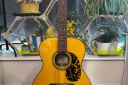 Cort L300V with k&amp;k pure mini