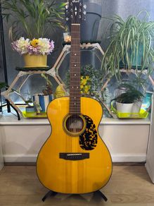 Cort L300V with k&k pure mini