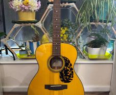 Cort L300V with k&k pure mini