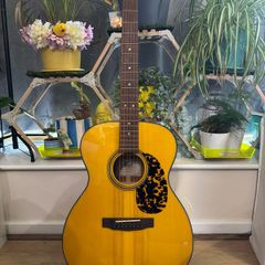 Cort L300V with k&k pure mini