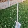 fencing pins Image 2