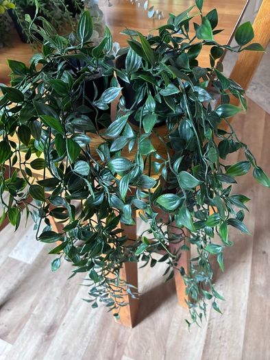 Bundle of 5 Artificial Trailing Plants (IKEA Fejka & Dunnes Stores)