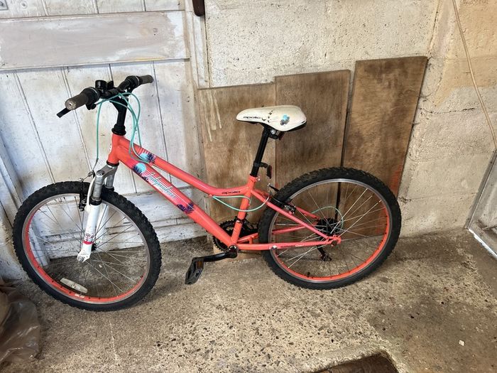 girls Bicycle Apollo Independence