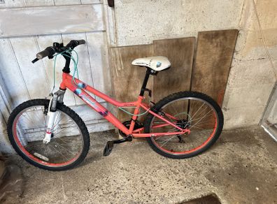girls Bicycle Apollo Independence