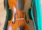 Violin