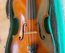 Violin