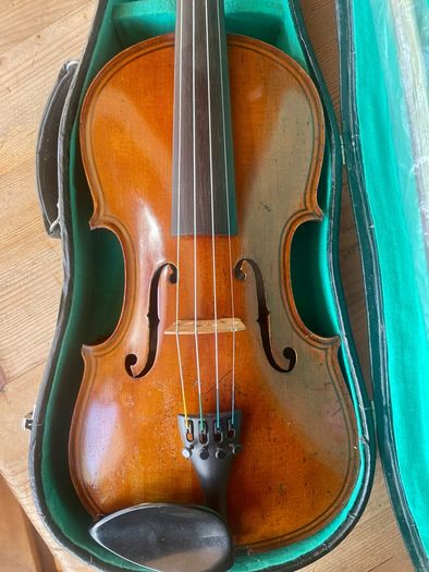 Violin