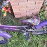 kids bike Image 2