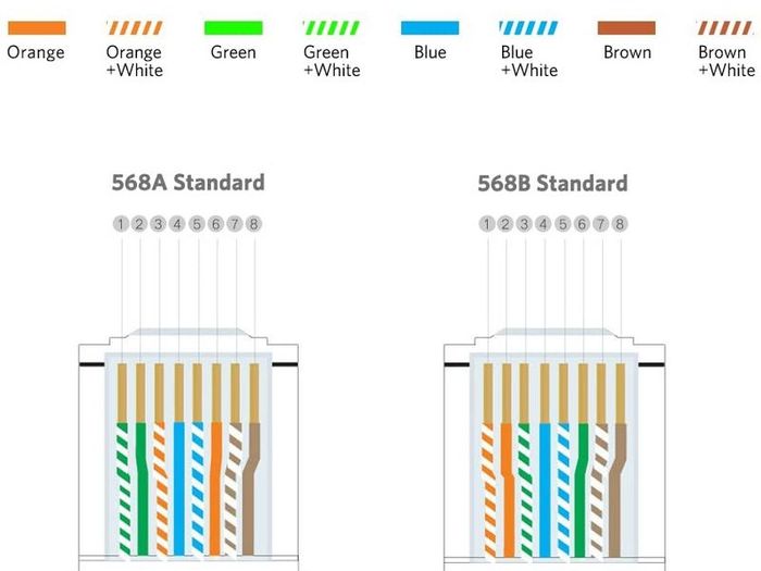 50x New RJ45 Cat5e LAN Cable Crimp End Network Ethernet Internet Connector #875