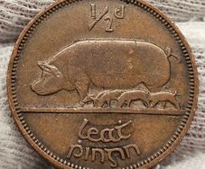 Ireland 1943 1/2d Halfpenny