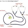 speech and language therapy materials (see and learn kits) Image 3