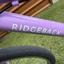 Ridgeback Dimension 24 Image 7