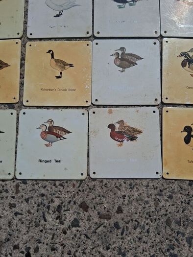 37 X Mid Century Avian Metal Display Plaques