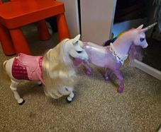 horses