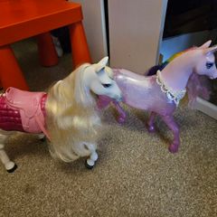horses