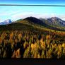 Philips 85" Qd Mini-led 4k Ambilight - Like New - 5+ Years Warranty! Image 6