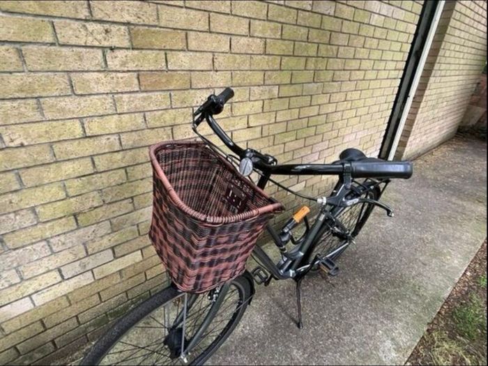GIANT Liv Flourish Hybrid City Bike Medium size.