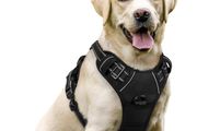 Large Dog No Pull Pet Harness with 2 Leash Clips, Adjustable Soft Padded Pet Vest Harness, Reflective No-Choke with Easy Control Handle for Training or Walking, Black, L